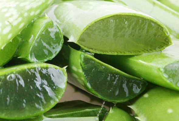 Голый и экологичный: что стоит за «зеленым сексом»?