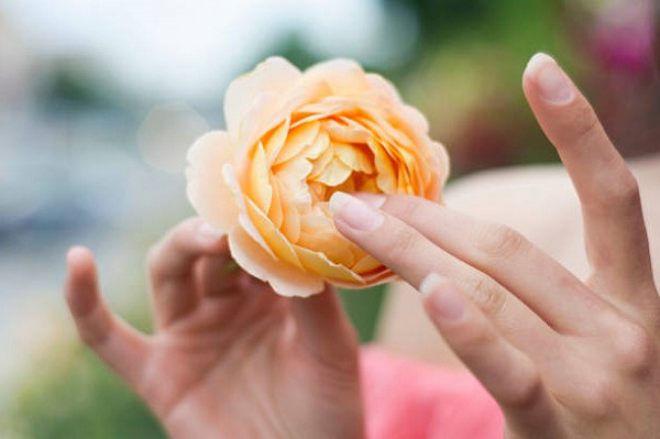 8 удивительных фактов о влагалище