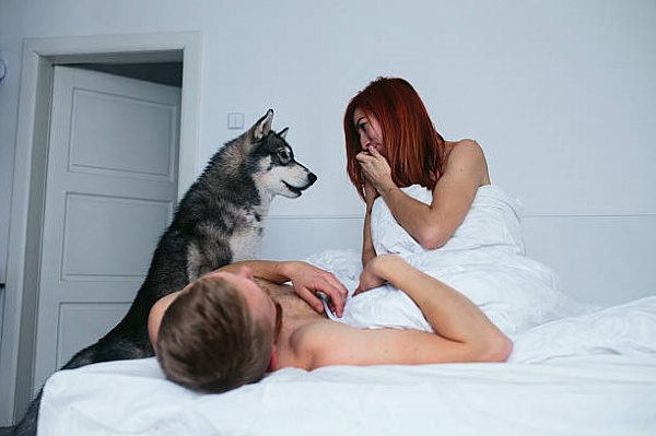 10 табу во время секса