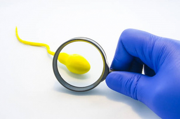 Качество спермы у мужчин неуклонно снижается