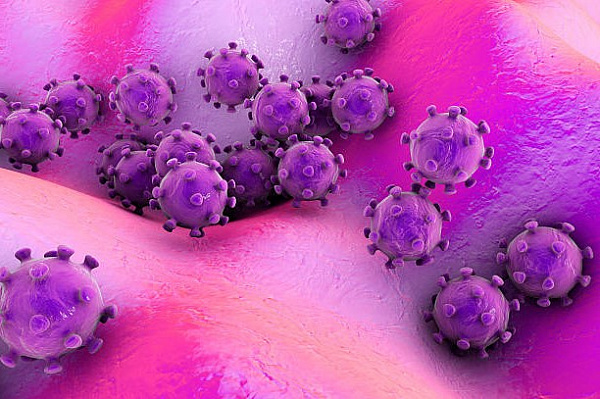 Секс и коронавирус: можно ли заразиться половым путем?