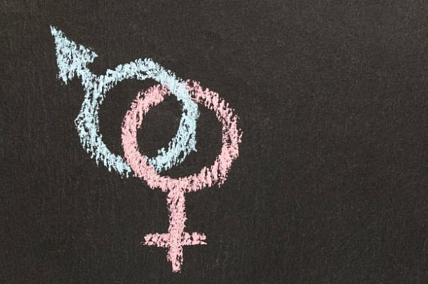 17 интересных фактов о сексе