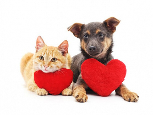 30 идей для Дня всех влюбленных