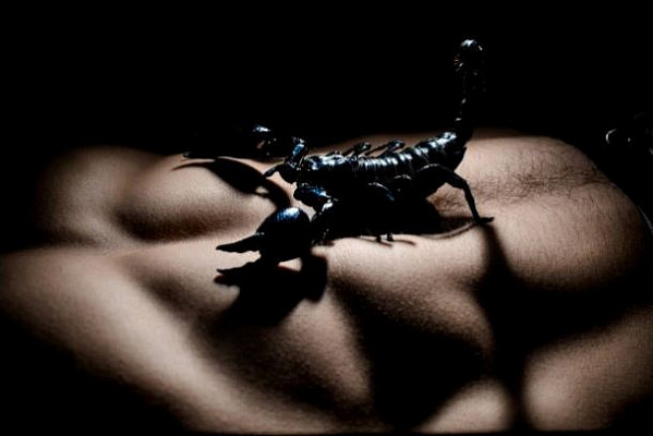 Нежность или БДСМ: что любят знаки Зодиака в постели?