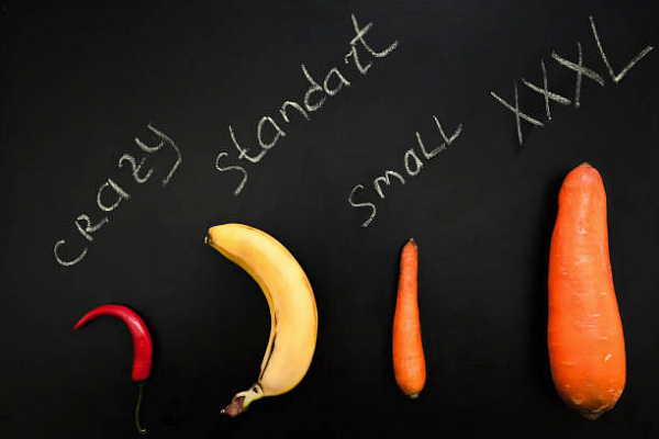 Занимательные факты и мифы о пенисе