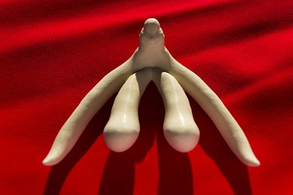 6 захватывающих фактов о клиторе