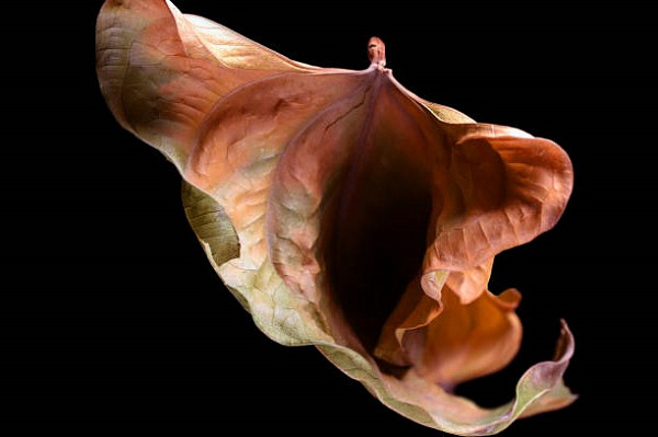 Что делать, если сухость влагалища мешает заниматься сексом?