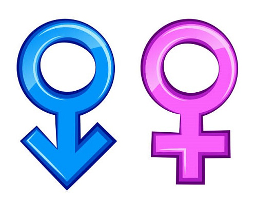 12 знаков зодиака в постели