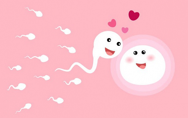 10 лучших поз для зачатия